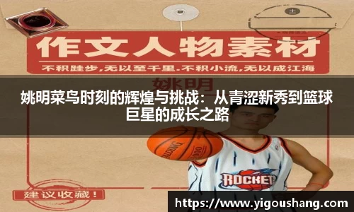 EBET易博官网入口